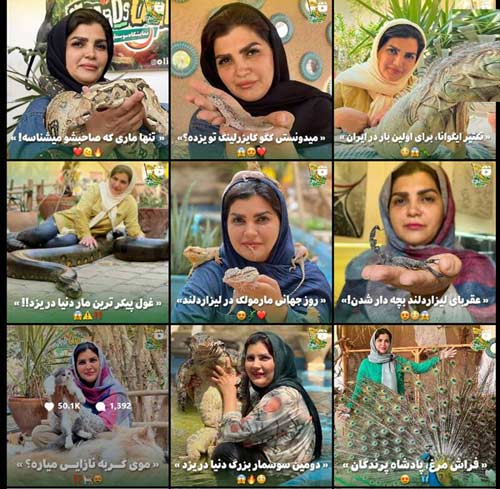 از عقرب تا مار؛ همبازی جدید بچه‌ها