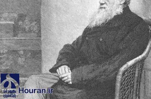 داروین طراح نظریه تکامل؛ "داروین" چگونه "داروین" شد؟!