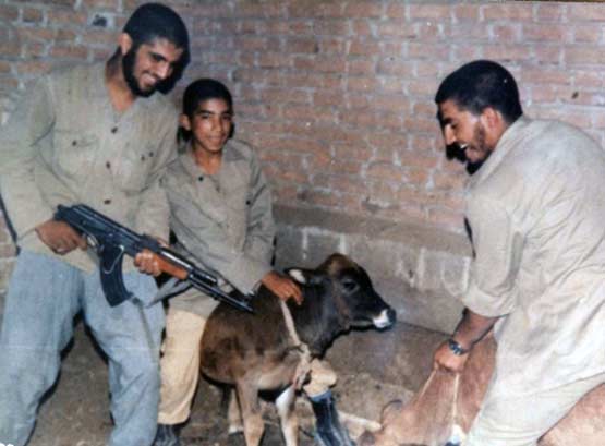 شهید رضا جهازی